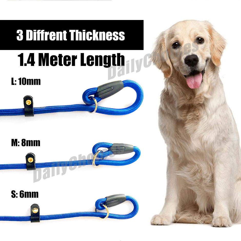 Slip Puppy Lead Nylon Rope Dog Training Correction Leash Pets Cesar