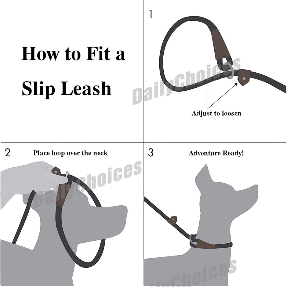 Cesar Millan Dog Puppy Training Correction Leash Slip Lead Pets Nylon